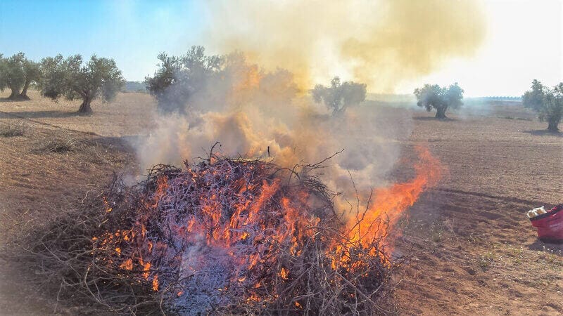 UPA reclama la actualización de la "ley de quemas" regional