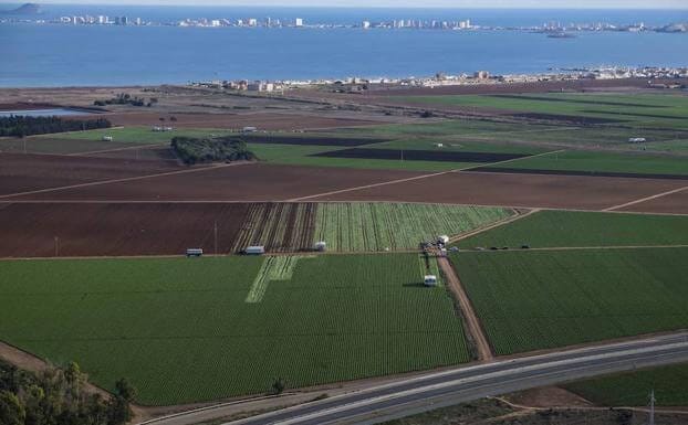 The Directorate General of the Mar Menor considers it essential to reduce fertilization around the salt lagoon